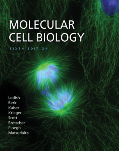 Molecular Cell Biology Molecular Cell Biology