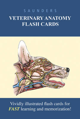 Saunders Veterinary Anatomy Flash Cards Saunders Veterinary Anatomy Flash Cards