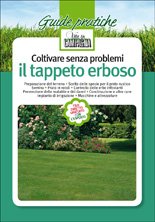 Coltivare senza problemi il tappeto erboso. Preparazione del terreno. Scelta delle specie per il prato rustico. Semina. Prato in rotoli. Controllo delle erbe... Coltivare senza problemi il tappeto erboso. Preparazione del terreno. Scelta delle specie per il prato rustico. Semina. Prato in rotoli. Controllo delle erbe...