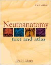 Neuroanatomy