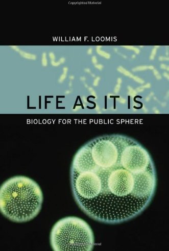 Life as it is Life as it is