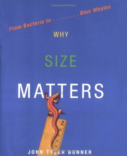 Why Size Matters Why Size Matters