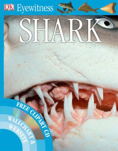 Shark. Shark.