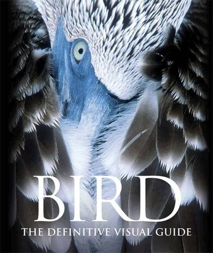 Bird Bird