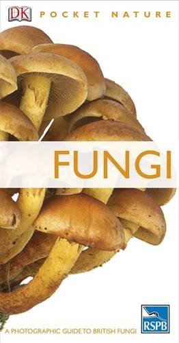 Fungi Fungi