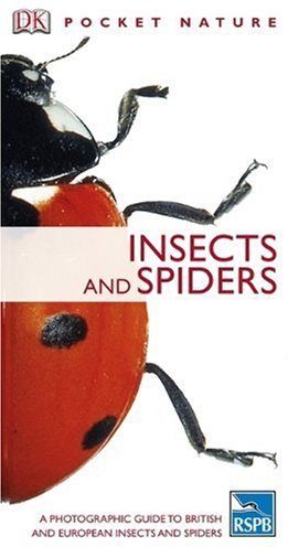 Insects and Spiders Insects and Spiders