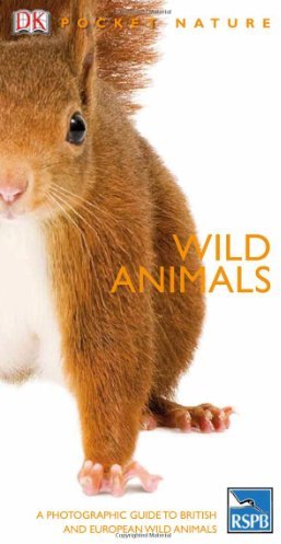 Wild Animals Wild Animals