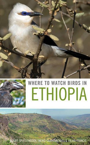 Where to Watch Birds in Ethiopia Where to Watch Birds in Ethiopia