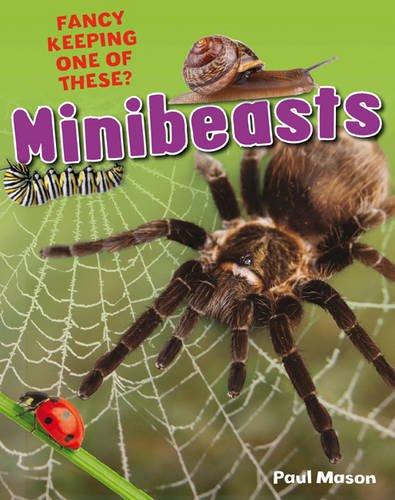 Minibeasts Minibeasts