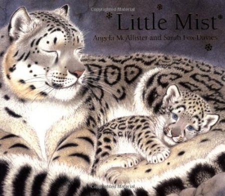 Little Mist Little Mist