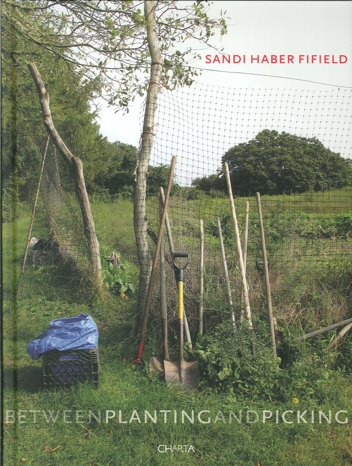 Sandi Haber Fifield. Between planting and picking Sandi Haber Fifield. Between planting and picking