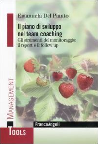 Il piano di sviluppo nel team coaching. Gli strumenti del monitoraggio: il report e il follow up Il piano di sviluppo nel team coaching. Gli strumenti del monitoraggio: il report e il follow up
