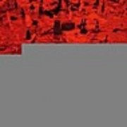 Africas : the artist and the city a journey and an exhibition