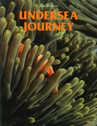 Undersea Journey