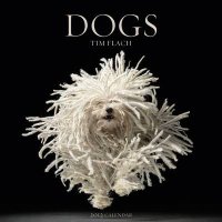 Dogs 2012 Wall Calendar