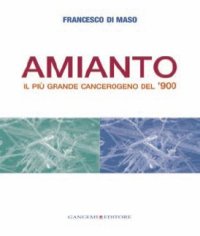 Amianto. Il più grande cangerogeno del '900