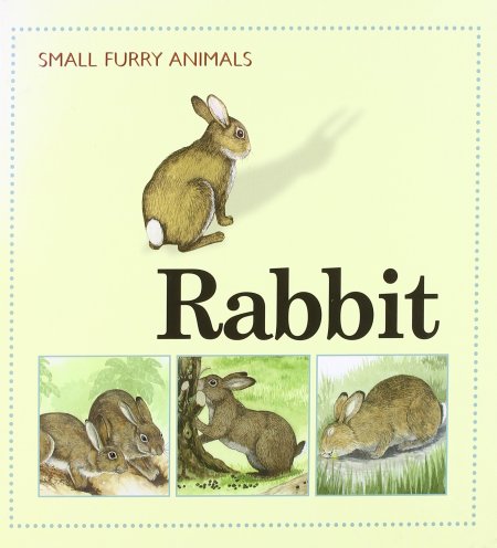 Rabbit. Rabbit.