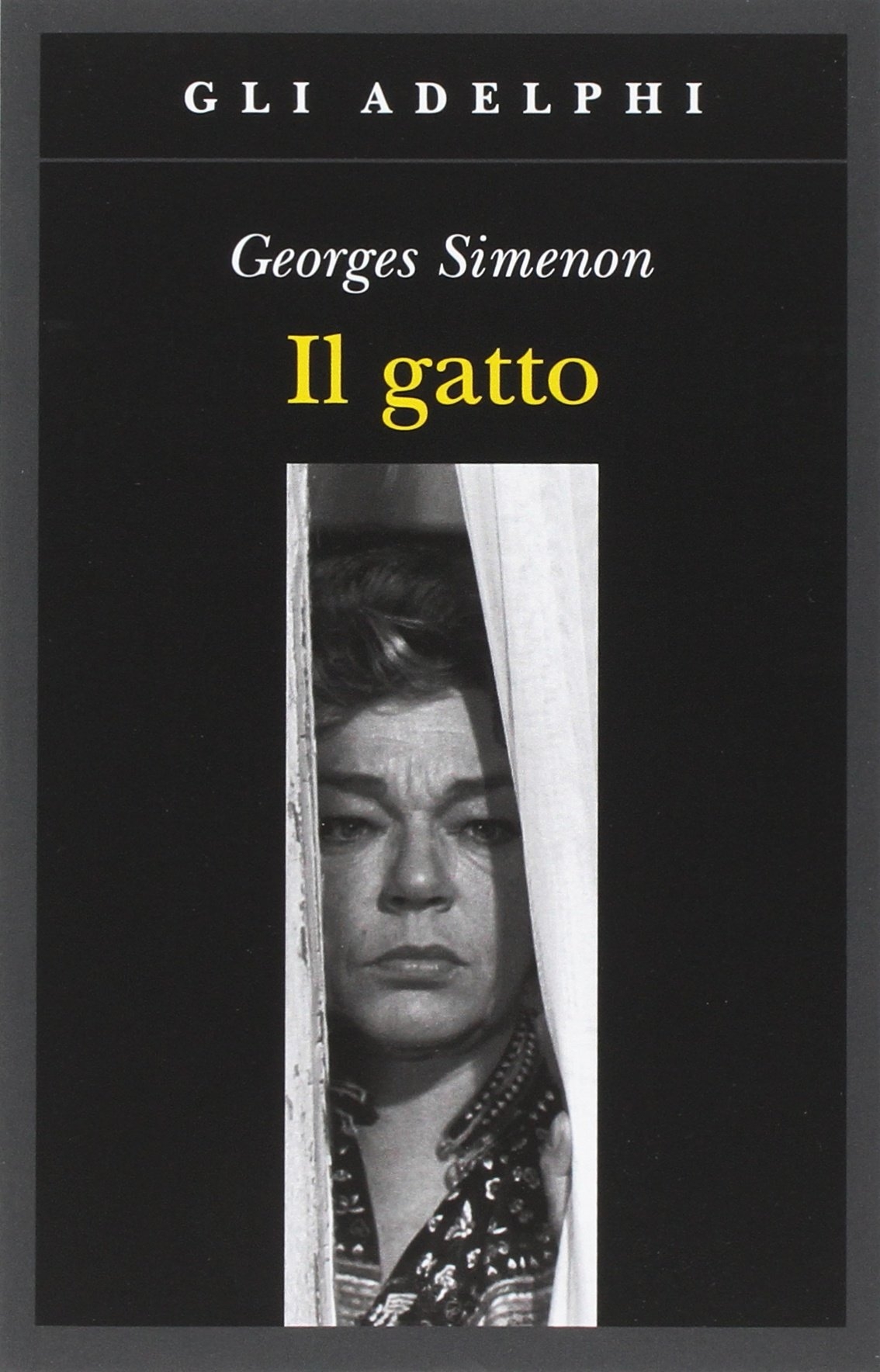 Il gatto Il gatto