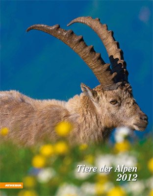 Animali delle Alpi. Calendario 2012 Animali delle Alpi. Calendario 2012