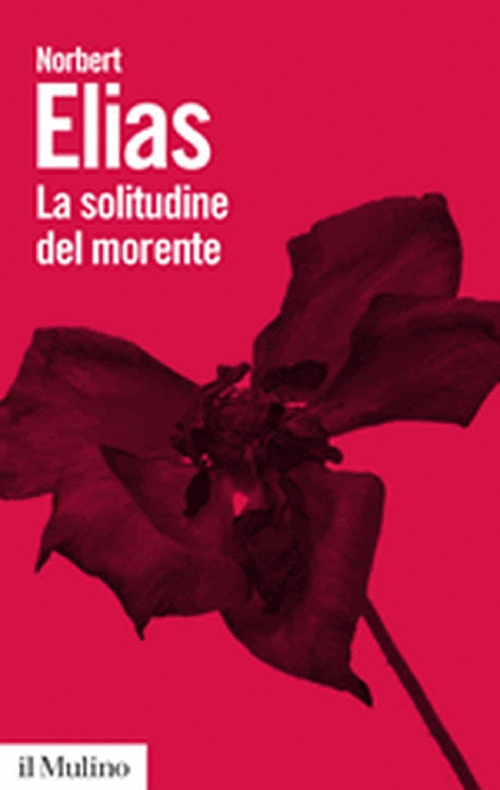 La solitudine del morente La solitudine del morente
