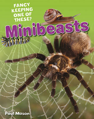 Minibeasts Minibeasts