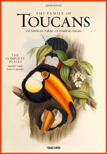 John Gould, family of toucans. Ediz. italiana, spagnola e portoghese John Gould, family of toucans. Ediz. italiana, spagnola e portoghese