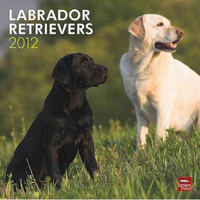 Labrador Retrievers Wall Calendar 2012 Labrador Retrievers Wall Calendar 2012