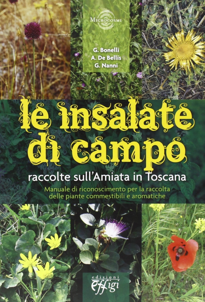 Le insalate di campo. Raccolte sull'Amiata in Toscana Le insalate di campo. Raccolte sull'Amiata in Toscana