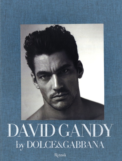 David Gandy. Ediz. illustrata David Gandy. Ediz. illustrata