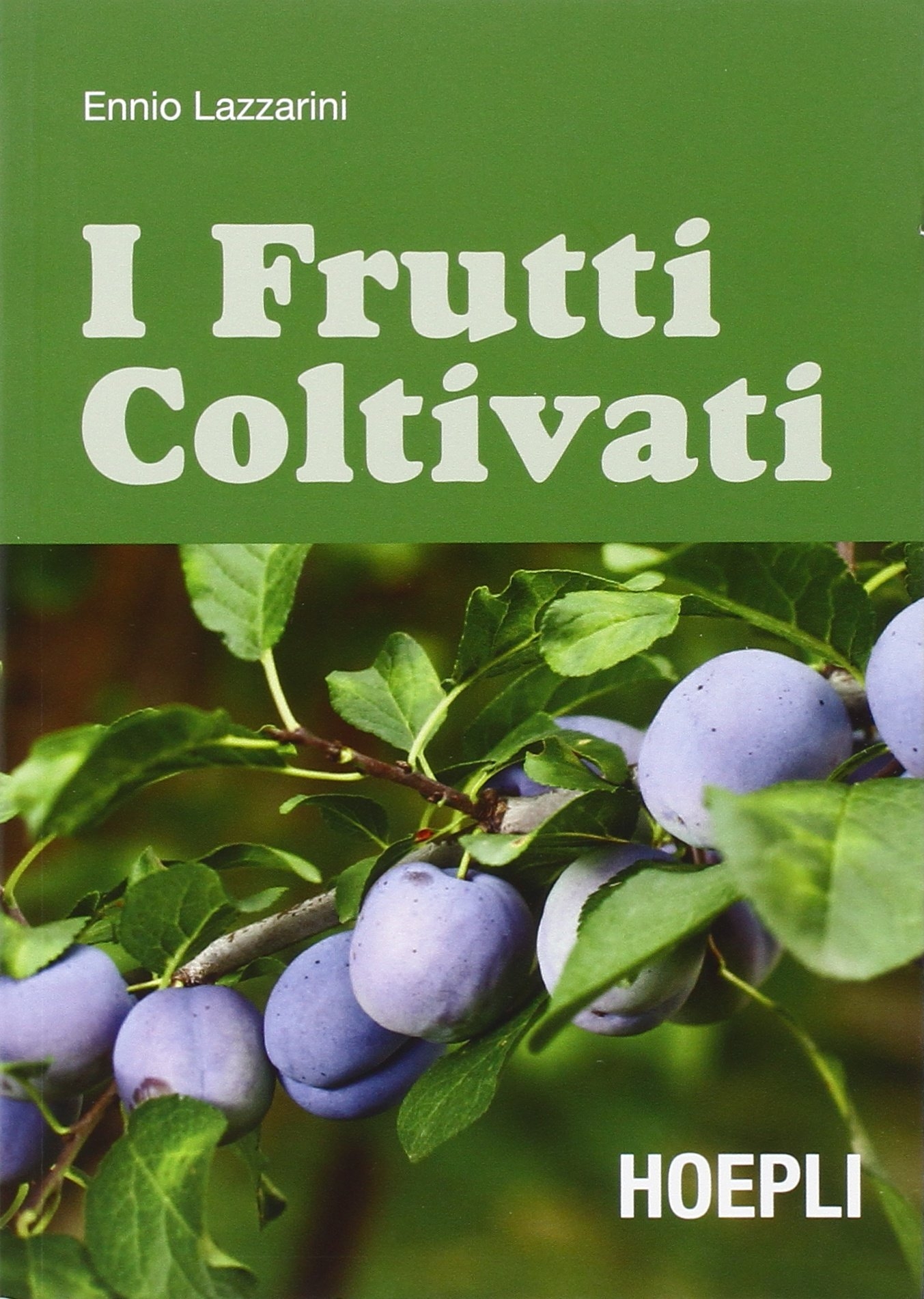 I frutti coltivati I frutti coltivati