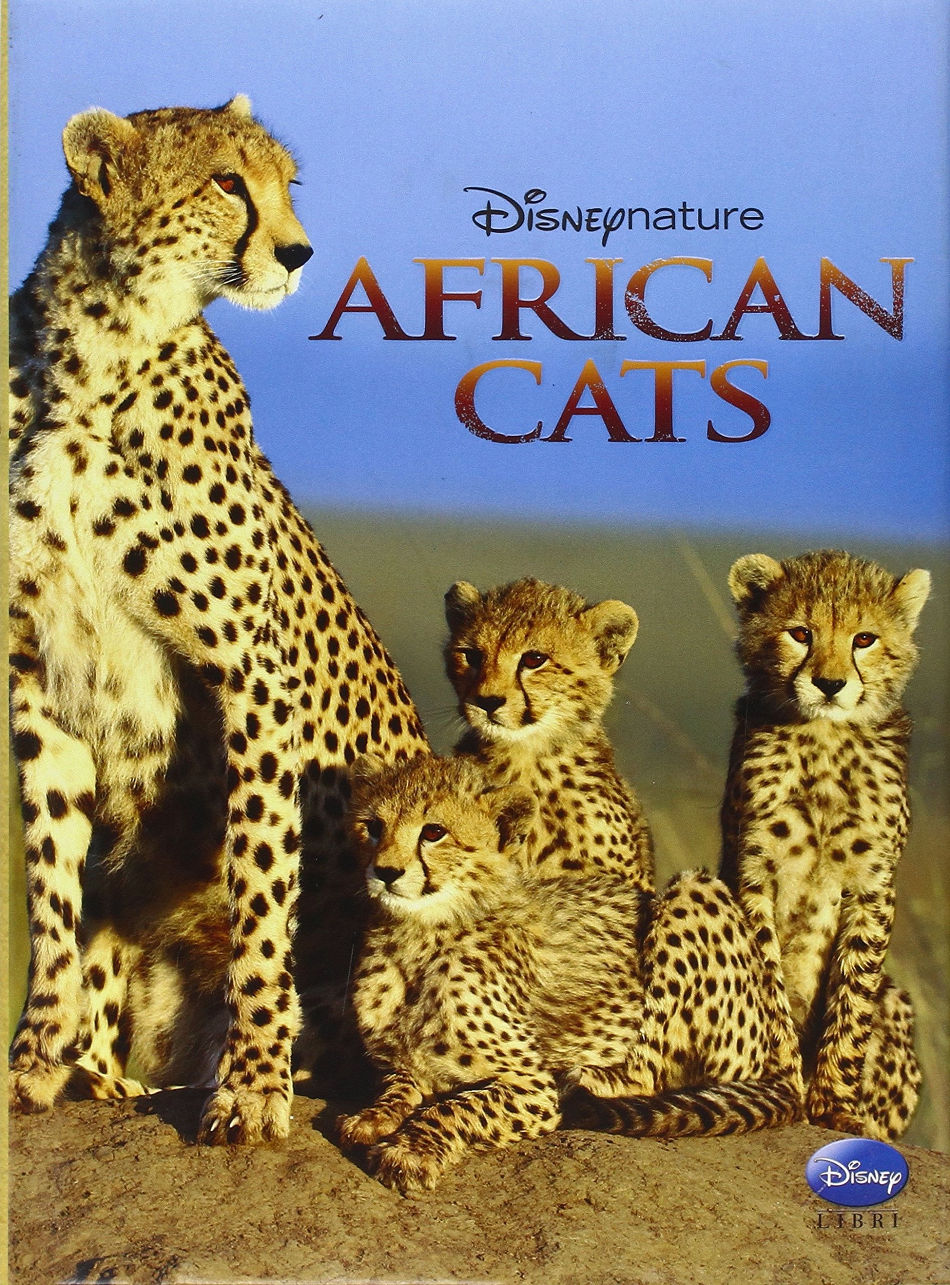African cats. Storybook African cats. Storybook