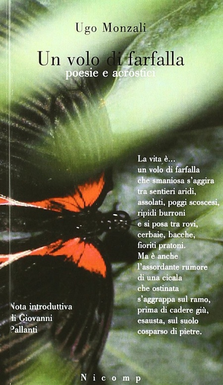 Un volo di farfalla Un volo di farfalla