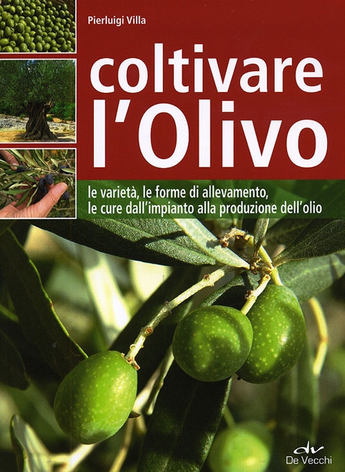Coltivare l'olivo. Dall'impianto alla produzione dell'olio Coltivare l'olivo. Dall'impianto alla produzione dell'olio