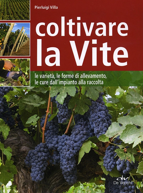 Coltivare la vite. Le varietà, le forme di allevamento, le cure dall'impianto alla raccolta Coltivare la vite. Le varietà, le forme di allevamento, le cure dall'impianto alla raccolta