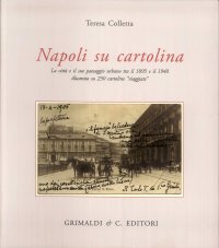 Napoli su cartolina. La città e il suo paesaggio urbano tra il 1895 e 1940 illustrata su 250 cartoline «viaggiate»