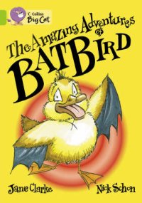 Amazing Adventures of Batbird