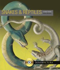 Snakes and Reptiles