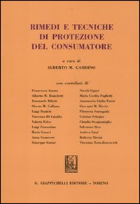 Rimedi e tecniche di protezione del consumatore Rimedi e tecniche di protezione del consumatore