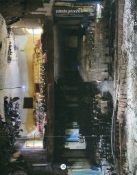 Celeste. Prize 2011