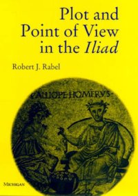 Plot and Point of View in the Iliad