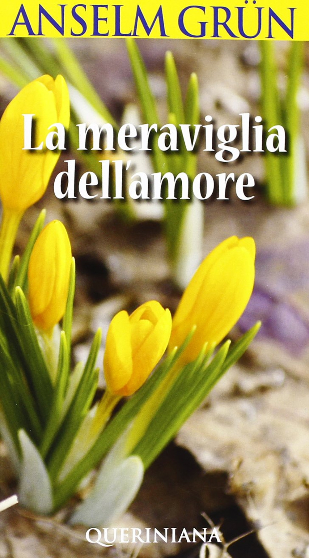 La meraviglia dell'amore La meraviglia dell'amore
