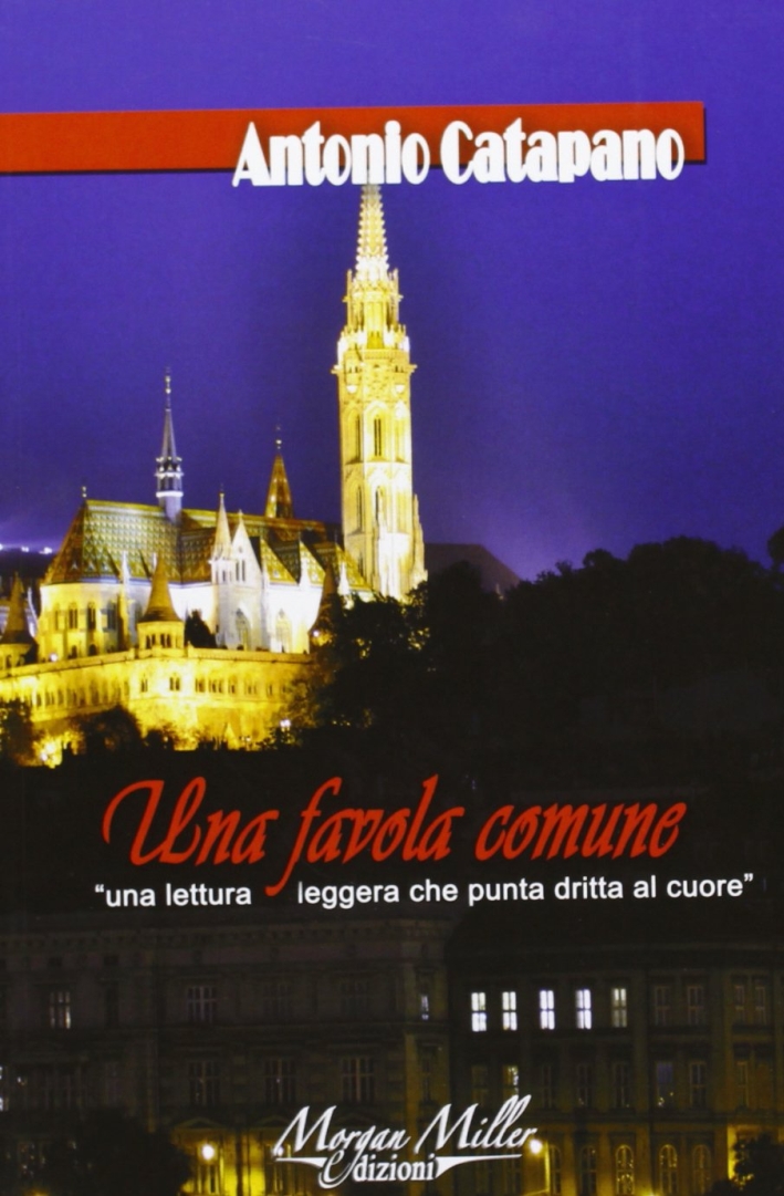 Una favola comune. Una lettura leggera che punta dritta al cuore Una favola comune. Una lettura leggera che punta dritta al cuore