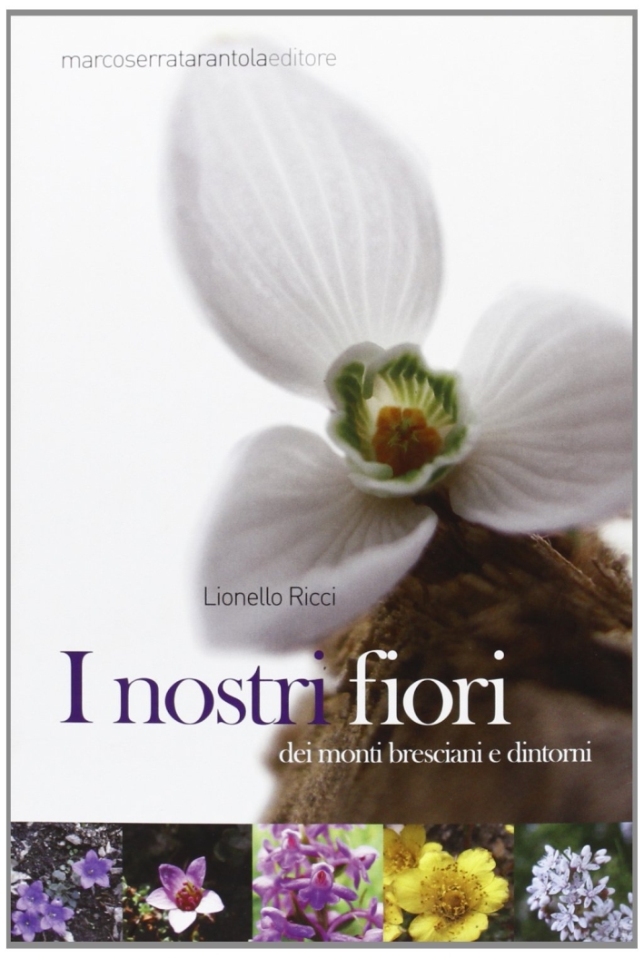 I nostri fiori dei monti bresciani e dintorni. Ediz. illustrata I nostri fiori dei monti bresciani e dintorni. Ediz. illustrata