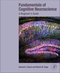 Fundamentals of Cognitive Neuroscience