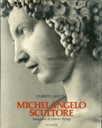 Michelangelo Scultore