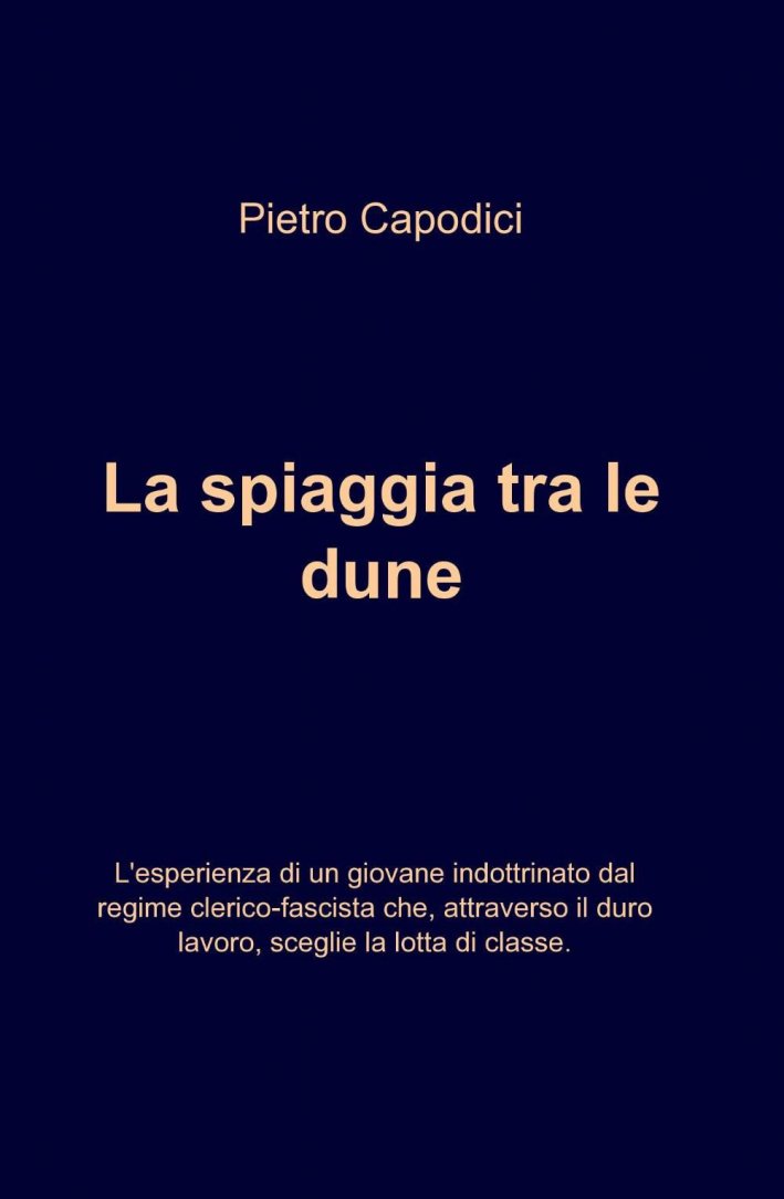 La spiaggia tra le dune La spiaggia tra le dune