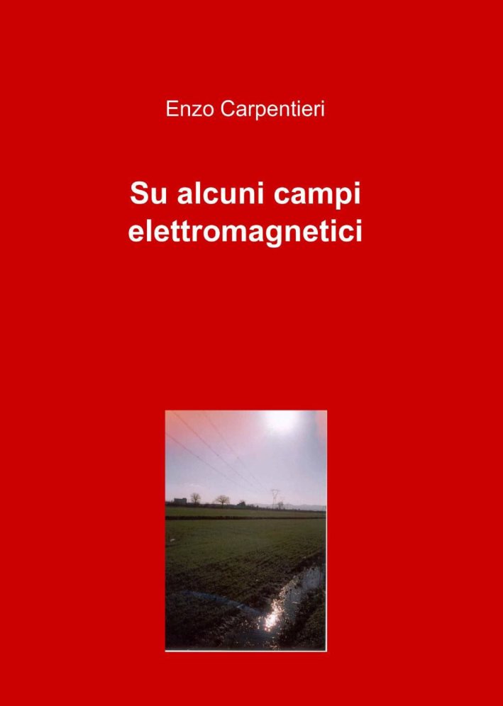 Su alcuni campi elettromagnetici Su alcuni campi elettromagnetici