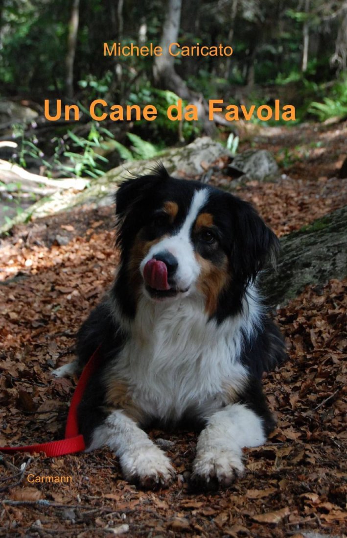Un cane da favola Un cane da favola