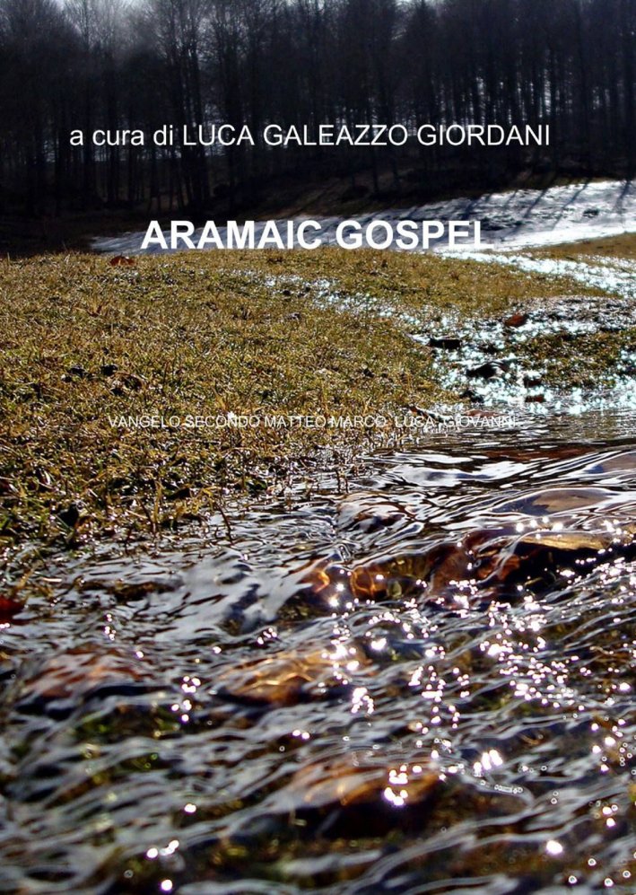 Nuovo testamento ebraico-francese Nuovo testamento ebraico-francese
