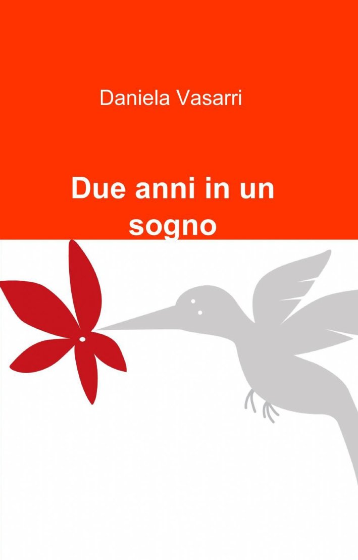 Due anni in un sogno Due anni in un sogno